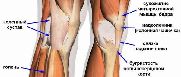 Причины и лечение растяжения связок коленного сустава
